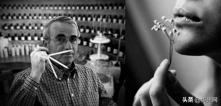 護膚天然純添加無品牌怎么辦_純天然無添加的護膚品牌_護膚天然純添加無品牌產(chǎn)品