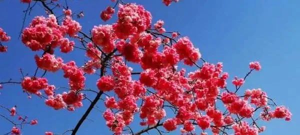 初中學(xué)生家庭教育的重要性_初中重要性家庭教育學(xué)生怎么寫_初中孩子的家庭教育重點(diǎn)