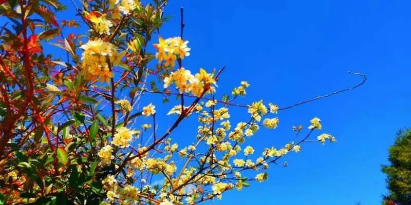 初中重要性家庭教育學(xué)生怎么寫_初中孩子的家庭教育重點(diǎn)_初中學(xué)生家庭教育的重要性