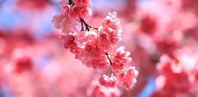 初中重要性家庭教育學(xué)生怎么寫_初中孩子的家庭教育重點(diǎn)_初中學(xué)生家庭教育的重要性