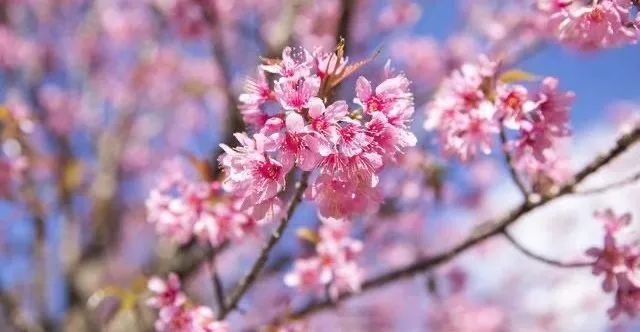 初中孩子的家庭教育重點(diǎn)_初中學(xué)生家庭教育的重要性_初中重要性家庭教育學(xué)生怎么寫