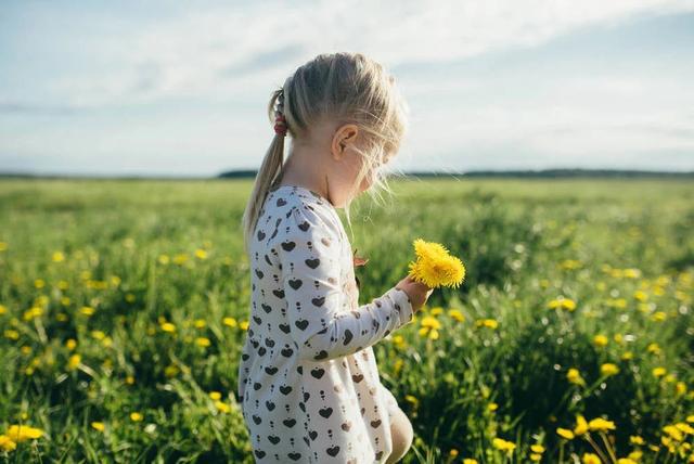 錯誤的家庭教育_錯誤家庭教育理念有幾種_錯誤家庭教育理念名言