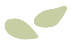 家庭教育共同體_學校和家庭共同教育的重要性_重要性共同家庭教育學校有哪些